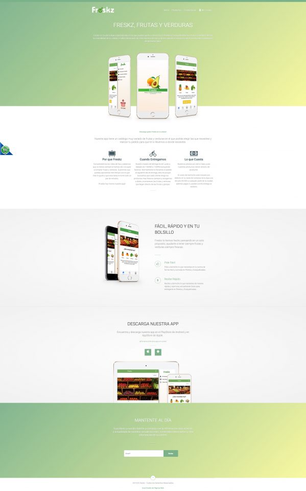 Diseño Web Freskz Freskz