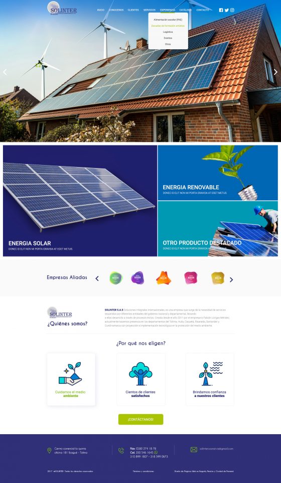 Diseño Web Solinter Solinter